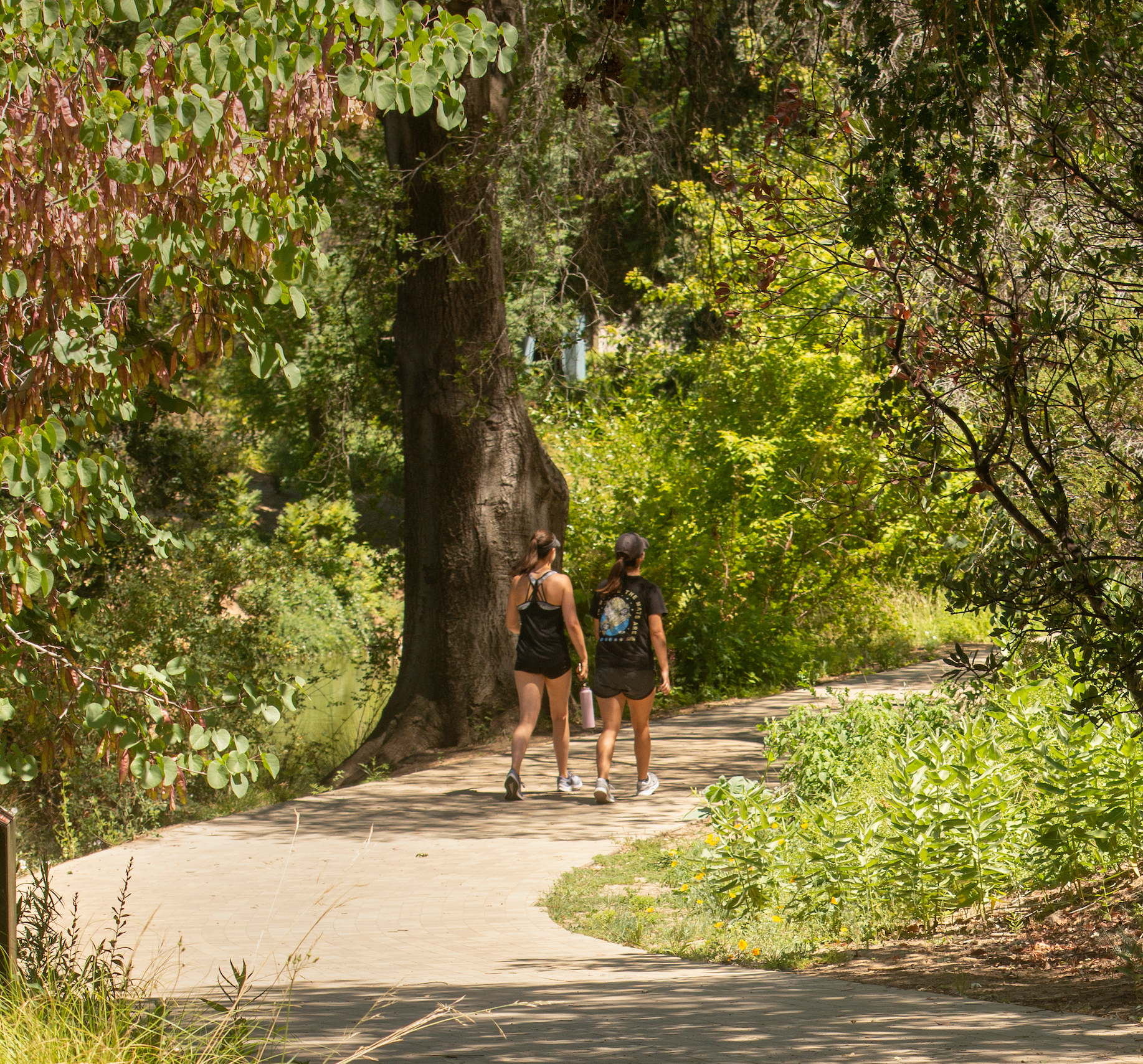 Students walking on trail in the arboretum