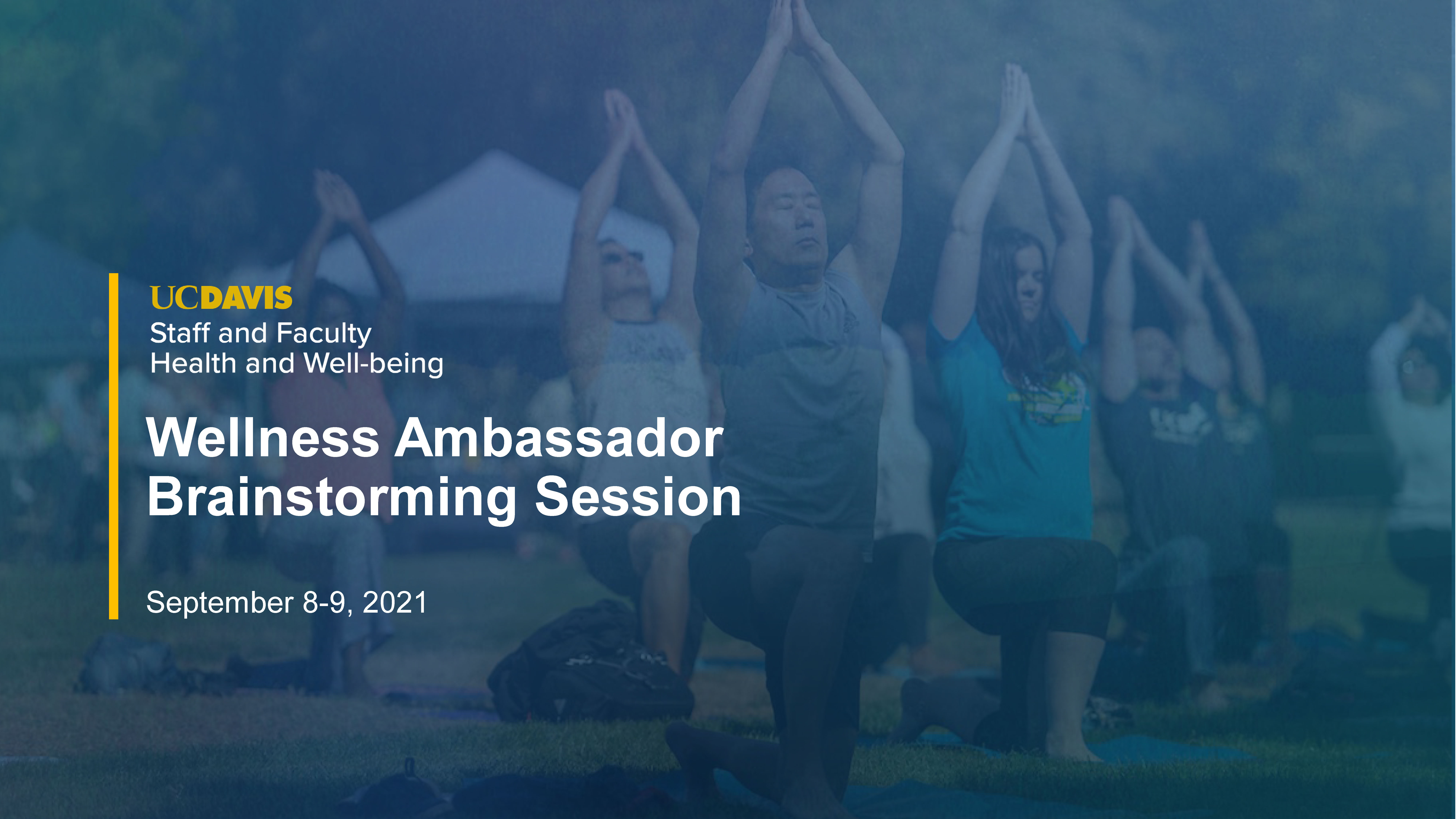 presentation thumbnail for the Wellness Ambassador Summer 2021 brainstorming session