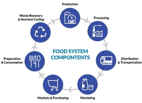 Food System Components