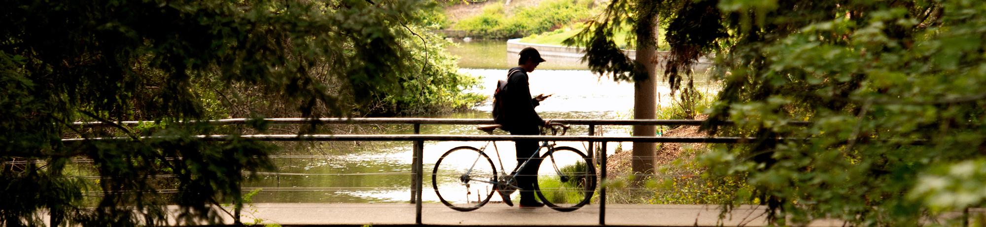 Photo of cyclist at UC Davis Arboretum.